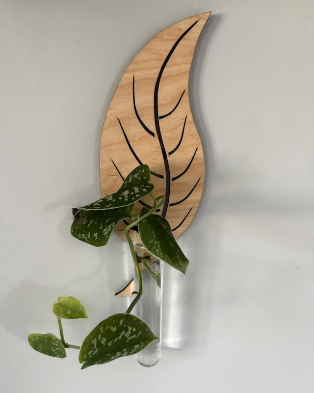 Laser Cut Leaf Shaped Wall Planters For Indoor plants, Plant Propagation station, Wall Decor