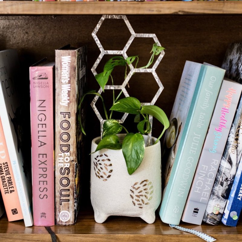 Laser Cut Indoor Plant Trellis Mini Plant Support