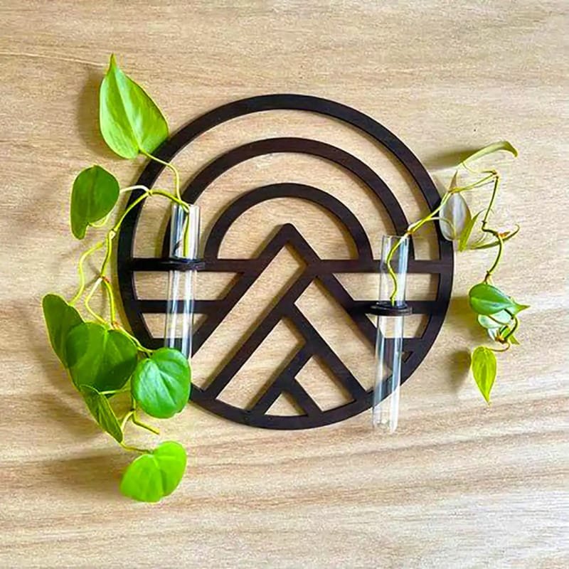 Laser Cut Propagation Station Air Plant Display Wall Decor